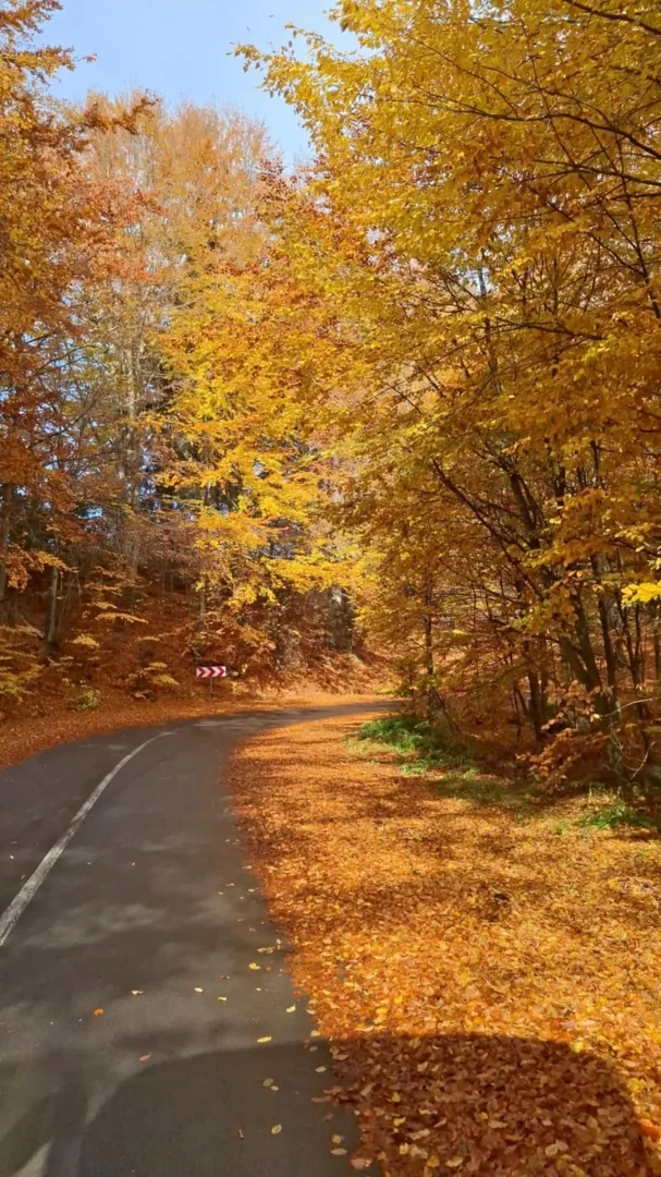 Ősz Erdélyben 5.webp